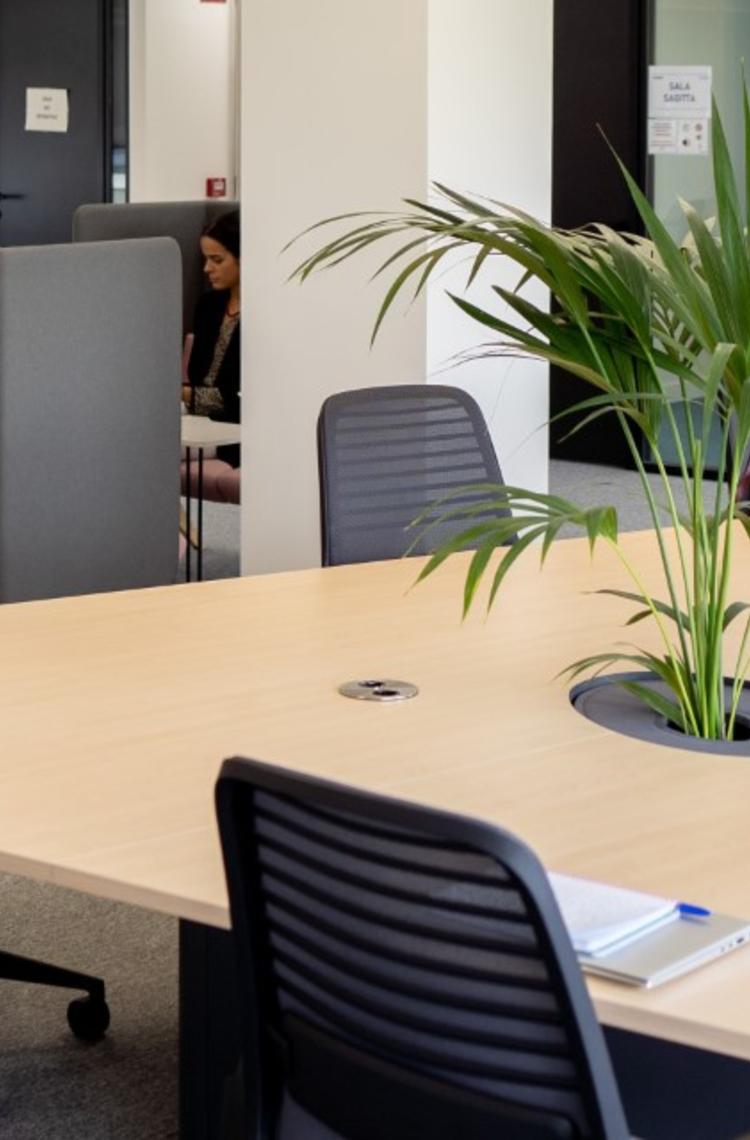 Airbus Crisa´s office layout favours the hybrid work and flexibility